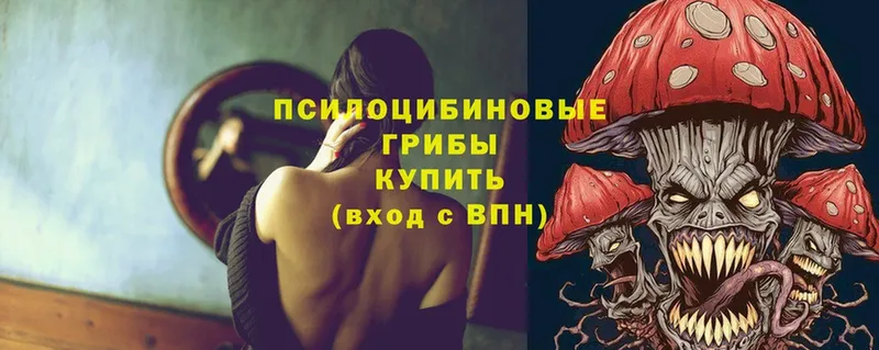 Галлюциногенные грибы Psilocybe  даркнет сайт  Игра 